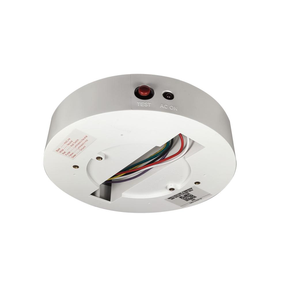 Enclosure with Emergency Driver for 6" ELO & ELO+