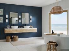 PROG_Coastal_Bathroom_P710116-31M_3D_appshot.jpg