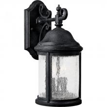 Progress P5649-31 - Ashmore Collection Two-Light Wall Lantern