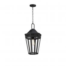 Maxim 30596CLBK - Oxford-Outdoor Pendant