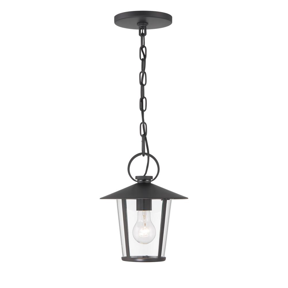 Andover 1 Light Matte Black Outdoor Pendant