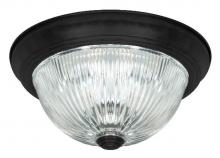 Canarm IFM211MBK-RGC - IFM211MBK-RGC, 2 Light Flush Mount, Black Finish