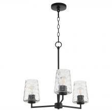 Quorum 6204-3-59 - Goodwin 3 Light Chandelier, Matte Black